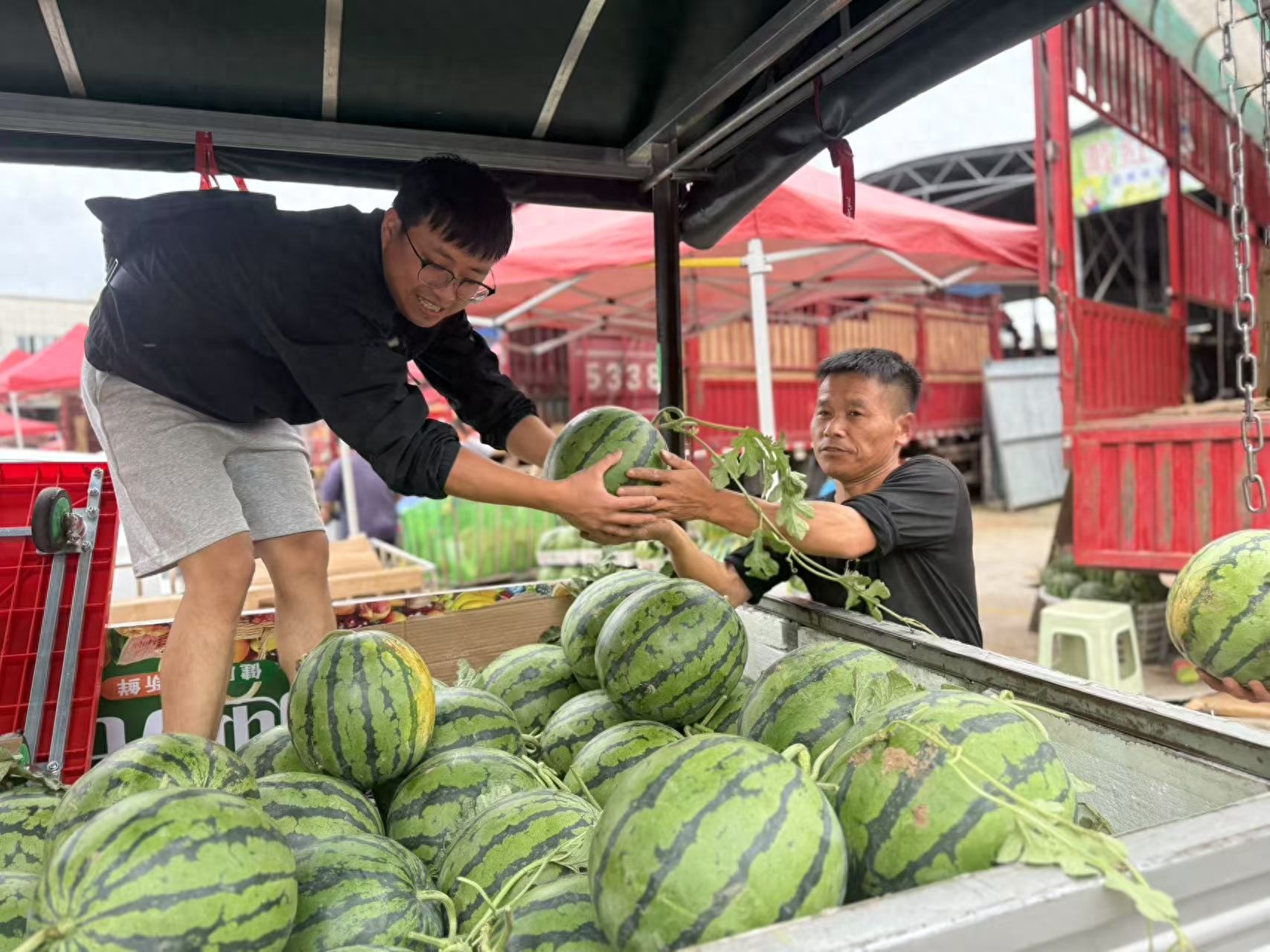 银田农产品物流园冷库_黔东南农产品物流园_农产品物流设施设备