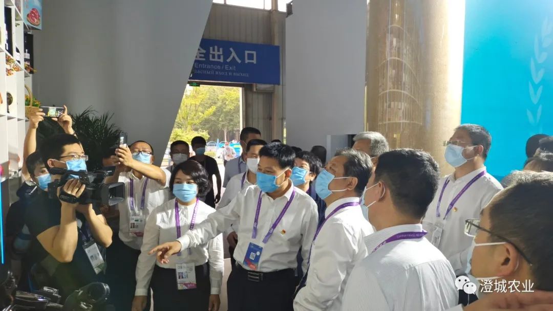 杨凌特色农产品苗木樱桃_中国杨凌农高会创新合作_杨凌农业科技展