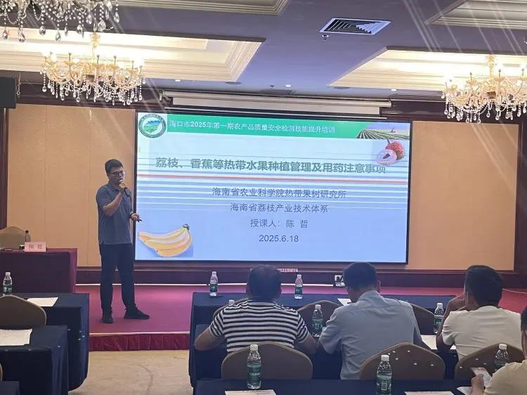 农产品质量安全检测培训 _ 海口市农业农村局 _农产品质量安全监管培训