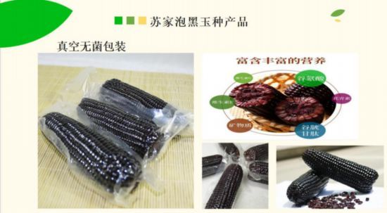 中国长春国际农业食品博览会 吉林供销特色农产品展销 _ 吉林预制菜产业推介会 _吉林省农产品电子商务成功案例