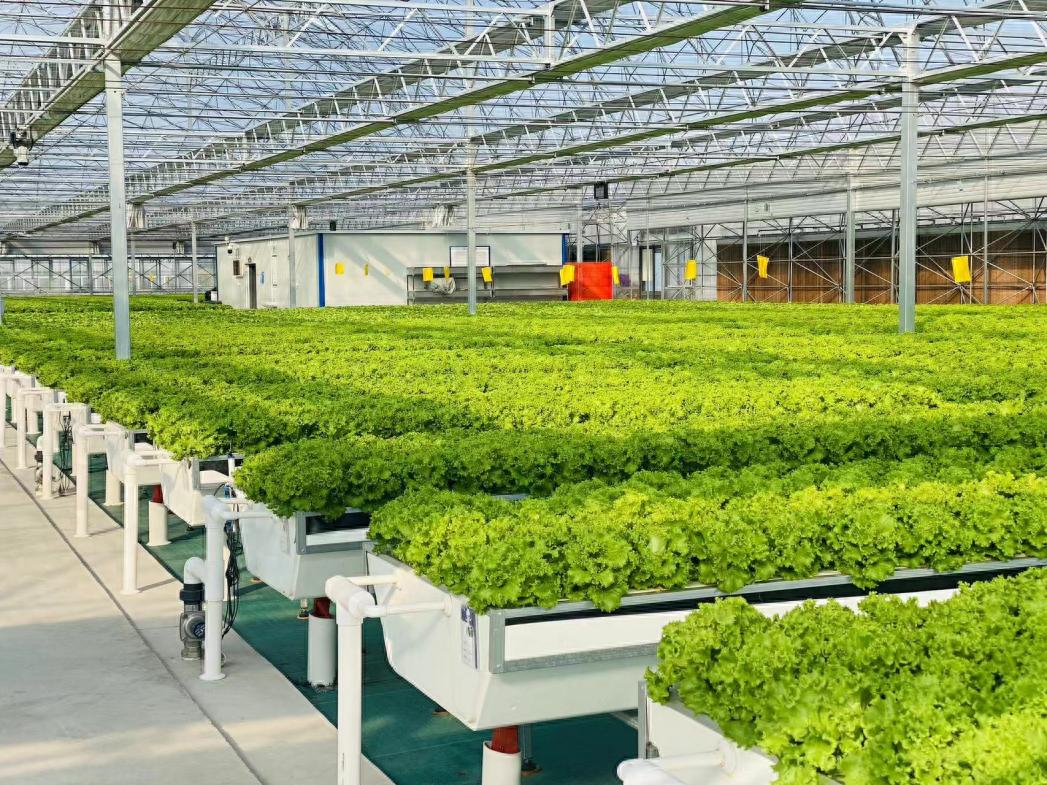 蔬菜水果保鲜湿度管理_工业加湿机在果蔬仓储中的应用_农产品物流设施设备