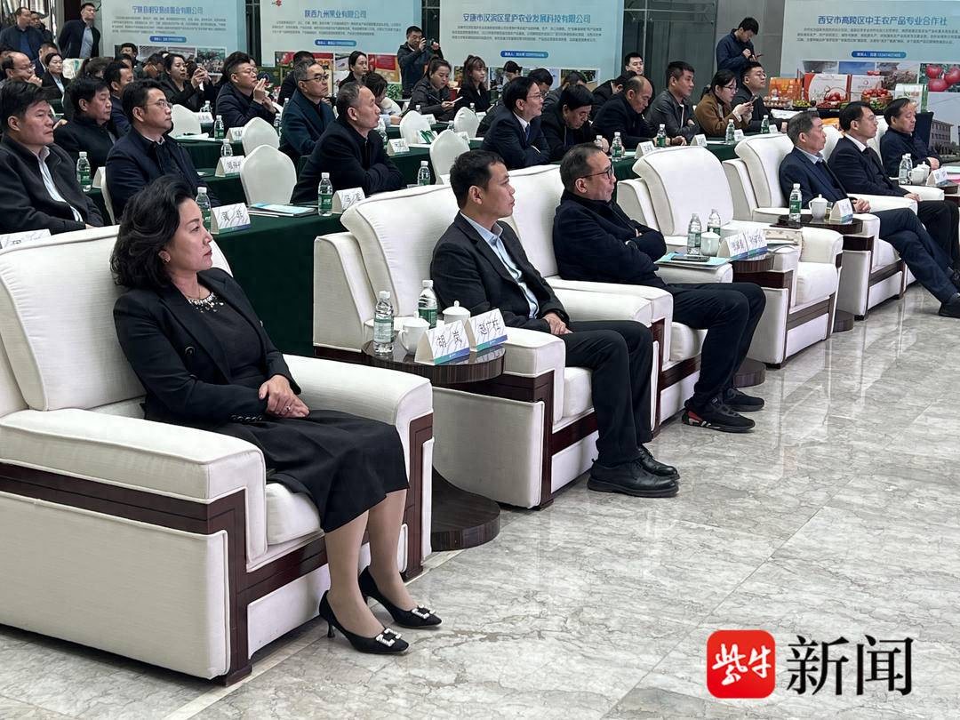 陕西农产品交易网_苏陕协作陕农优品_陕西农产品产销对接活动