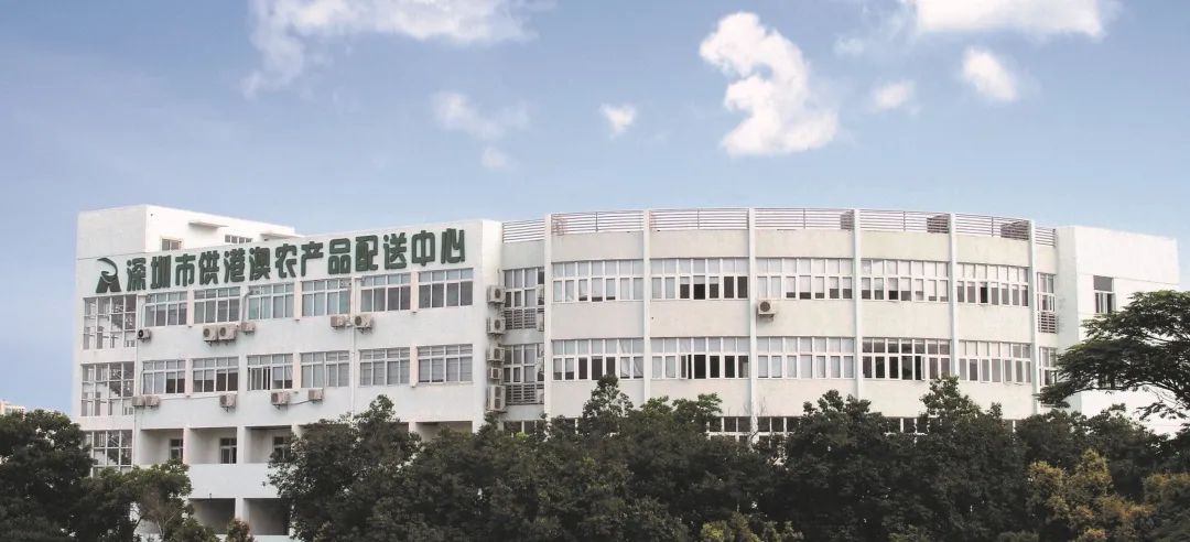 深圳农产品批发市场发展历程_深农集团菜篮子保障_深圳布吉农产品中心批发市场