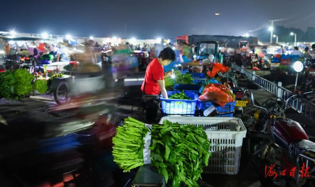 深圳布吉农产品中心批发市场_凌晨蔬菜批发市场_蔬菜批发凌晨交易原因