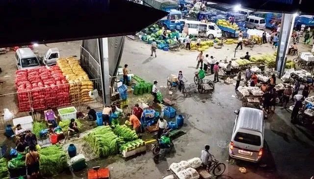 深圳布吉农产品中心批发市场_凌晨蔬菜批发市场_蔬菜批发凌晨交易原因