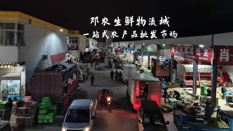 蔬菜批发凌晨交易原因_深圳布吉农产品中心批发市场_凌晨蔬菜批发市场