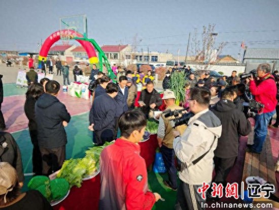 沈阳农产品_沈阳苏家屯区果蔬节_永乐街道特色农业现代化