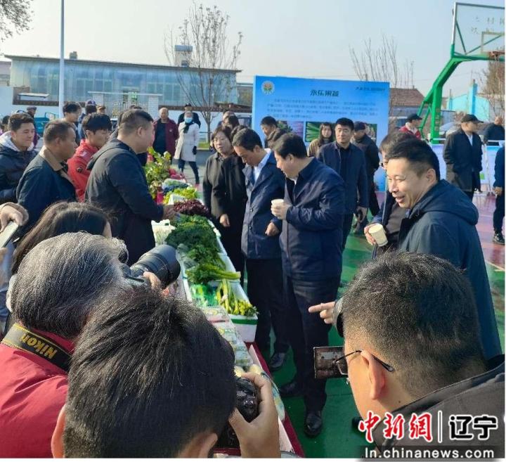 永乐街道特色农业现代化_沈阳苏家屯区果蔬节_沈阳农产品