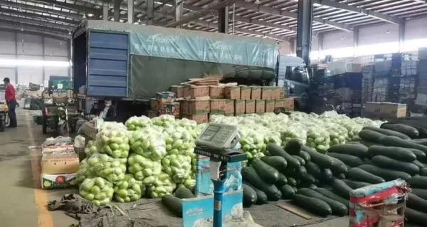 蔬菜产量提升_沈阳农产品_沈阳市菜篮子生产保供基地