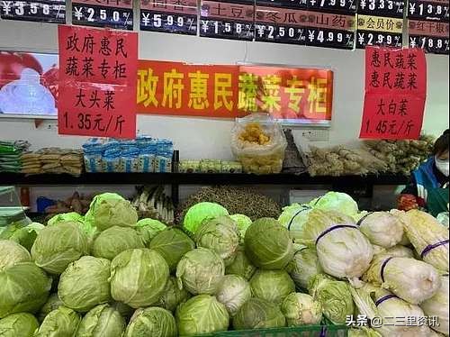 政府惠民蔬菜价格_沈阳农产品_沈城大白菜专柜销售
