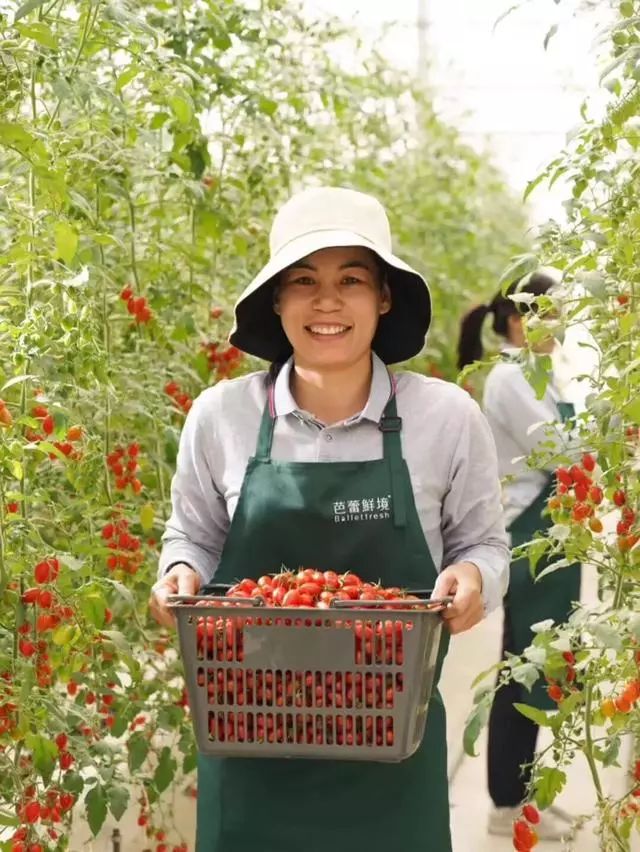 清远市农产品产销对接_清远农产品_清远市疫情防控农产品调度中心