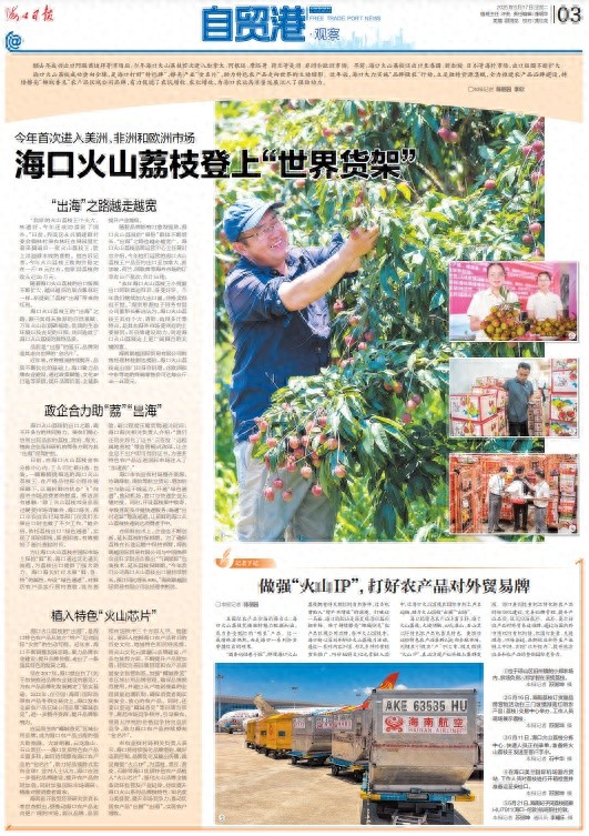 海口火山荔枝品牌建设_海口火山荔枝出口_海南农产品电商数量