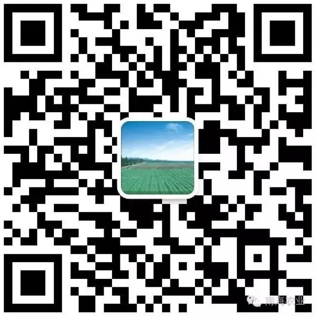 农产品检测机构_南海农产品检测中心_农产品质量安全科普