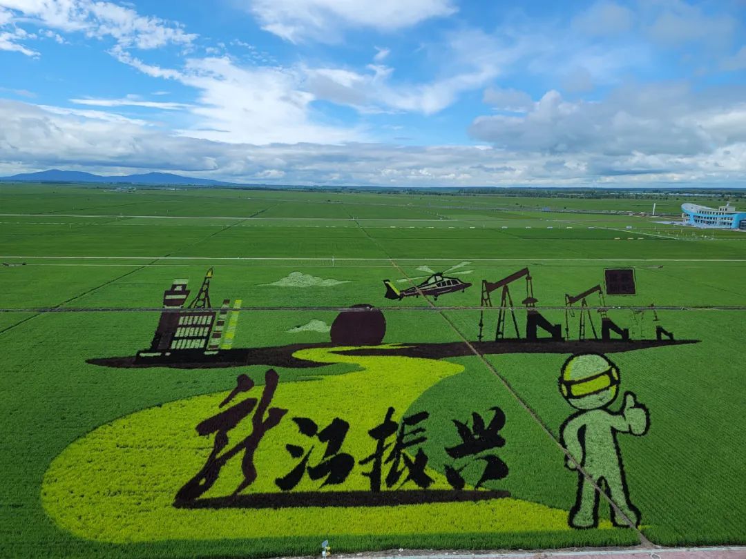 黑龙江粮食安全政策_黑龙江农产品追溯平台_黑龙江乡村振兴一号文件解读