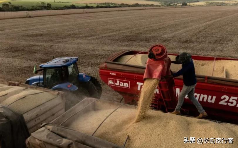 巴西铁矿石出口中国_巴西大豆进口量_巴西出口的农产品