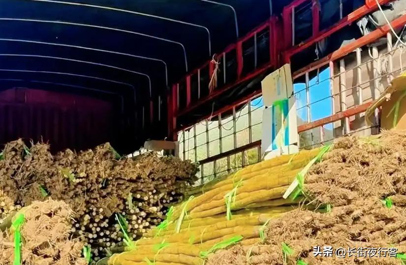 巴西铁矿石出口中国_巴西出口的农产品_巴西大豆进口量