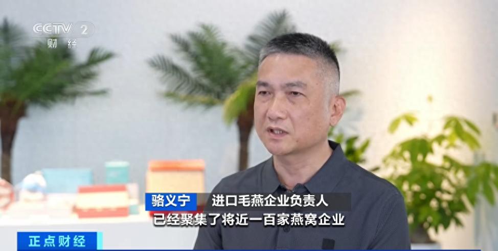 6月9日海关总署数据显示！东盟成我国第一大贸易伙伴，燕窝产业发展迅猛？