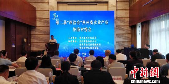 第二届西洽会：贵州省农业产业招商对接会成果丰硕