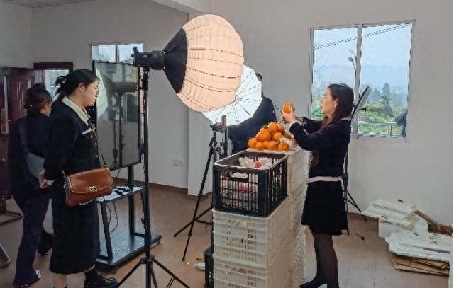 村级电商直播带货_农产品 滞销 数据_垫江电商服务中心