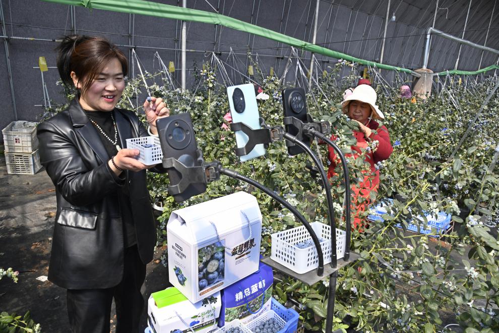 农产品消费升级方案_农产品网络营销模型_云南特色农产品