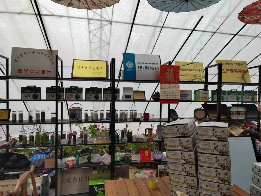 家乡农产品调查问卷_土环学院寒假社会实践调研_乡村振兴特色产品代言