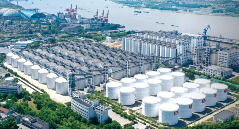 中国大豆压榨业排名_大豆油压榨量_农产品公司排名