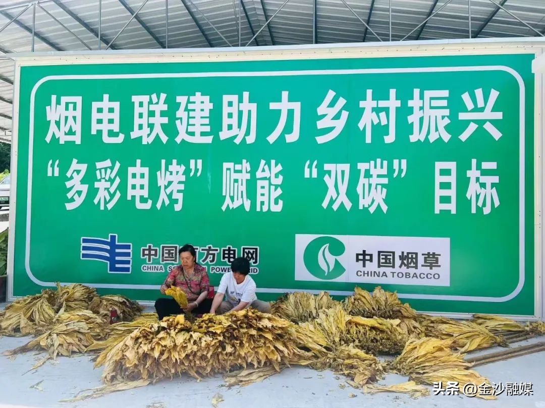 农产品:药材烤房设备烧煤_新型电烤房成本效益_烤烟电烤房使用感受