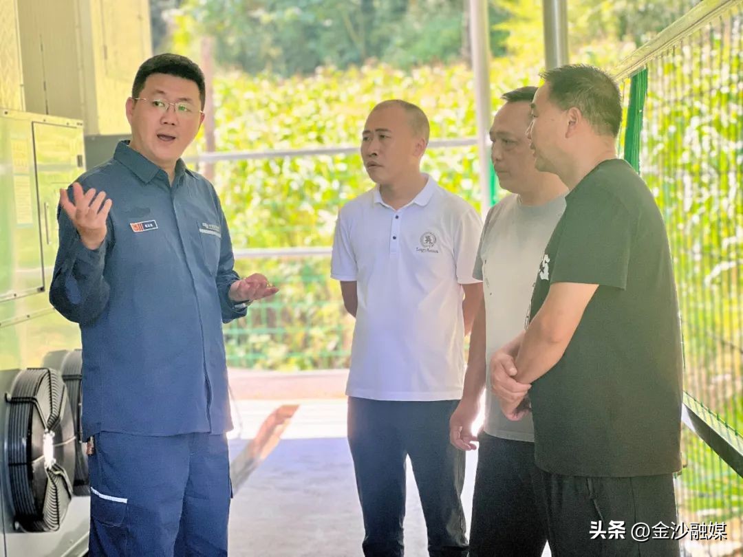 新型电烤房成本效益_烤烟电烤房使用感受_农产品:药材烤房设备烧煤