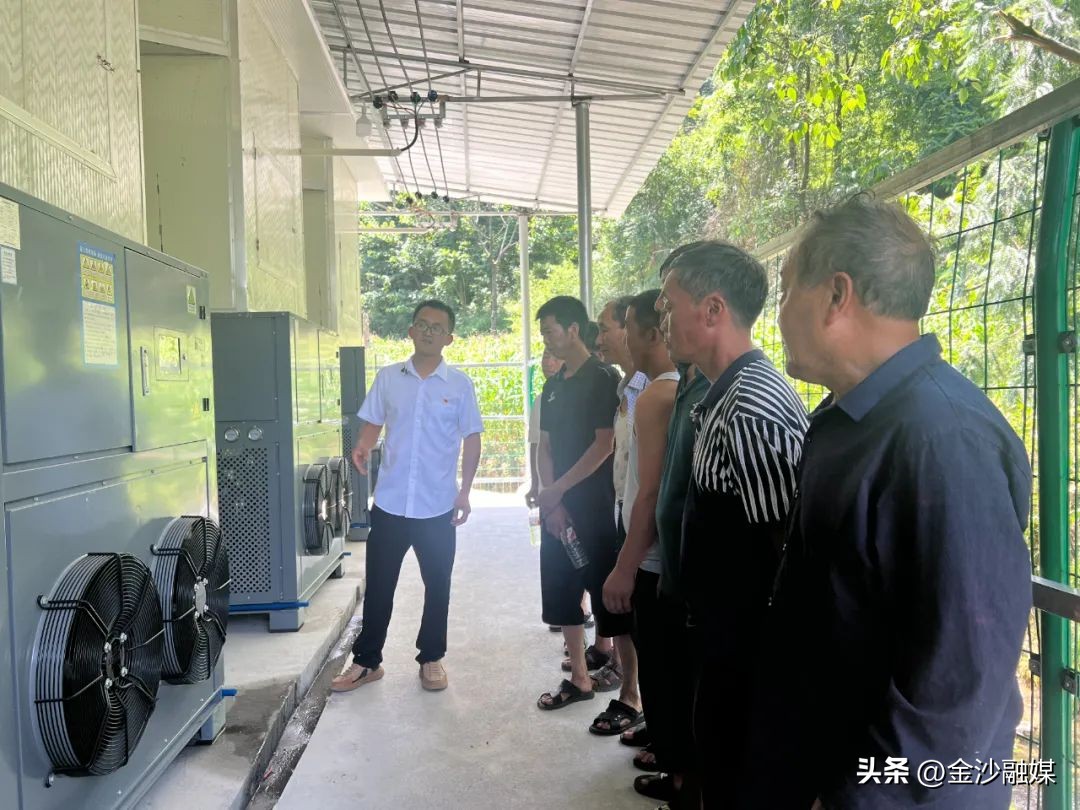 农产品:药材烤房设备烧煤_烤烟电烤房使用感受_新型电烤房成本效益