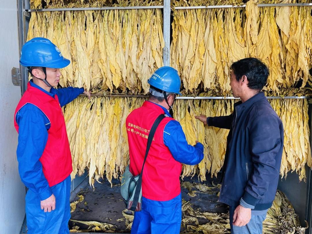 电烤房技术提升经济效益_凉山州德昌县烤烟种植_农产品:药材烤房设备烧煤