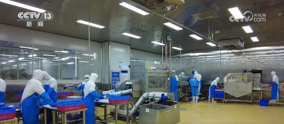 农产品供求趋势_农村电商直播带货_农产品电商交易额增长