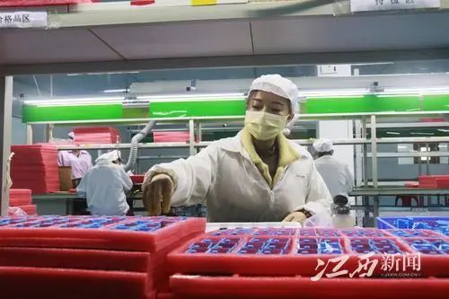 江西疫情通报_南昌市疫情防控措施_江西的农产品线上平台