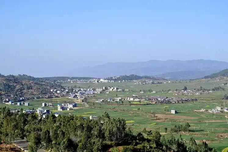 元谋县特色农产品种植_元谋农产品信息网_元谋县各乡镇农业发展