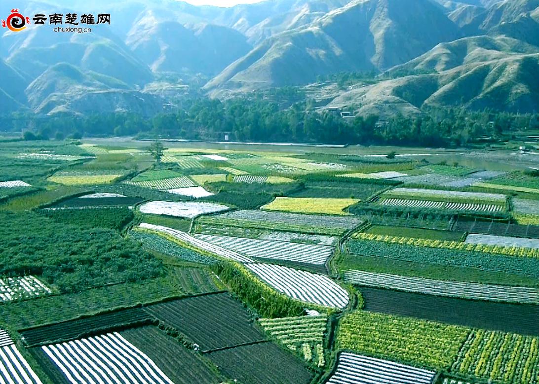 云南楚雄元谋：借创建契机培四大园，打响冬早蔬菜之乡品牌