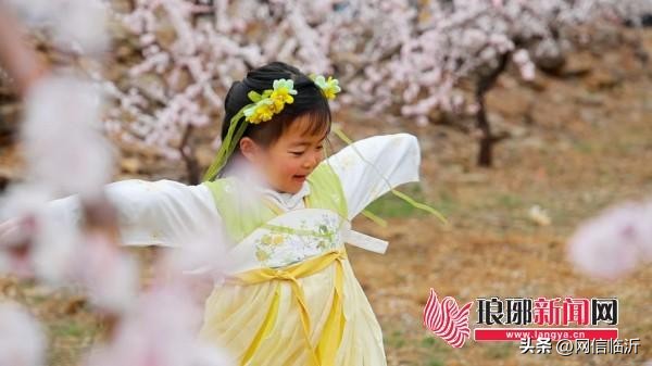 临沂农产品有什么_临沂春日赏花旅游_蒙阴杏花节活动