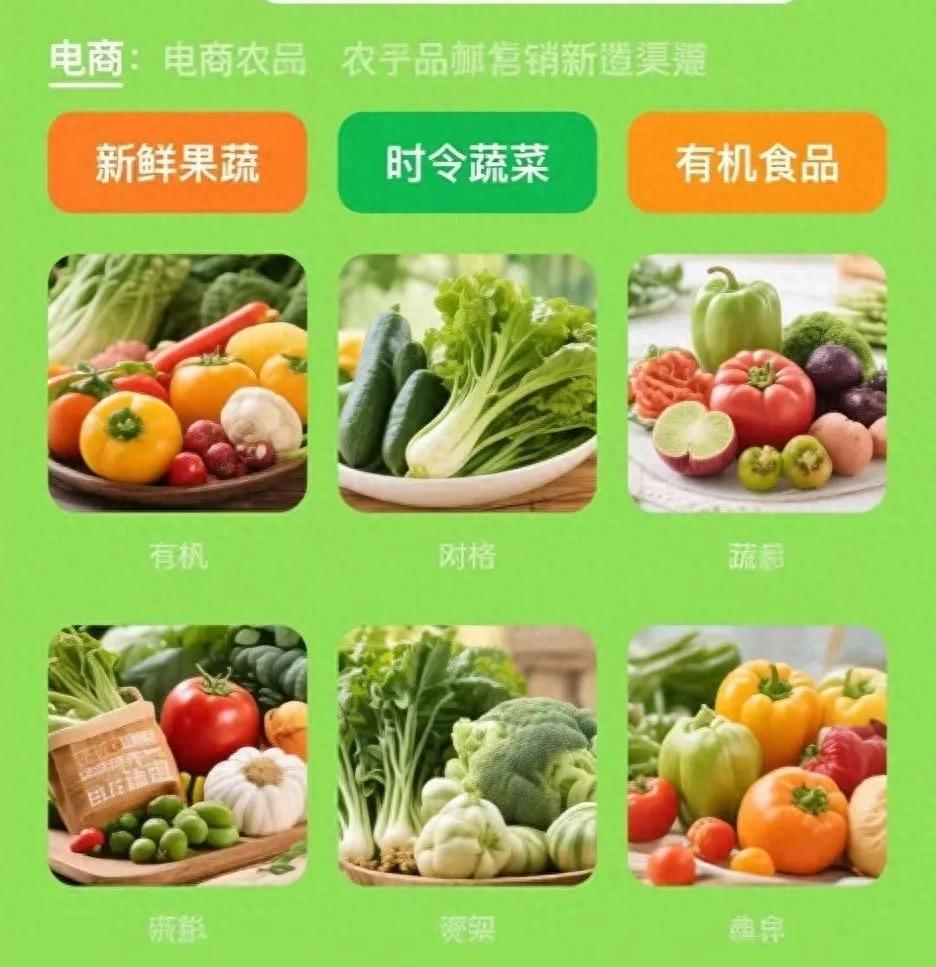 农产品电商销售新模式_农产品电商销售模式_电商平台开拓农村市场