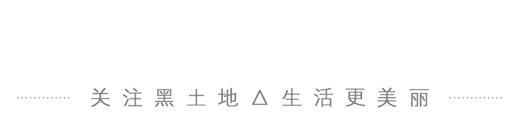 中国农产品市场竞争_农产品竞争优势_进口农产品冲击应对策略