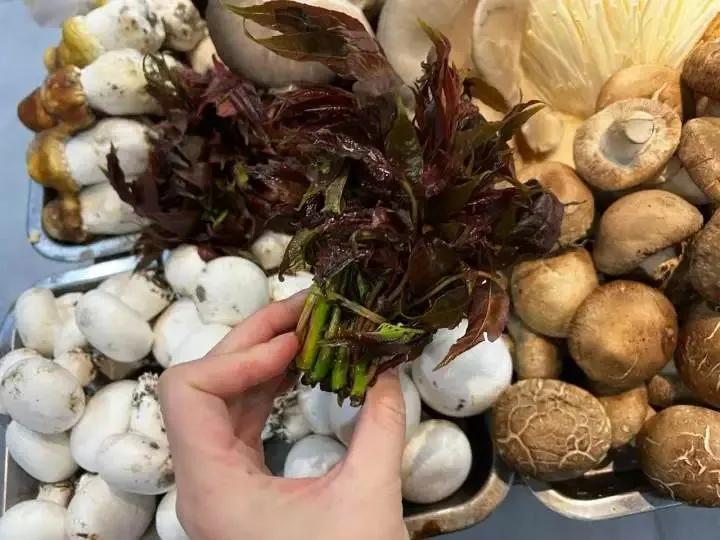浙江农产品 价格_板蓝根青菜做法_浙江春菜上市时间