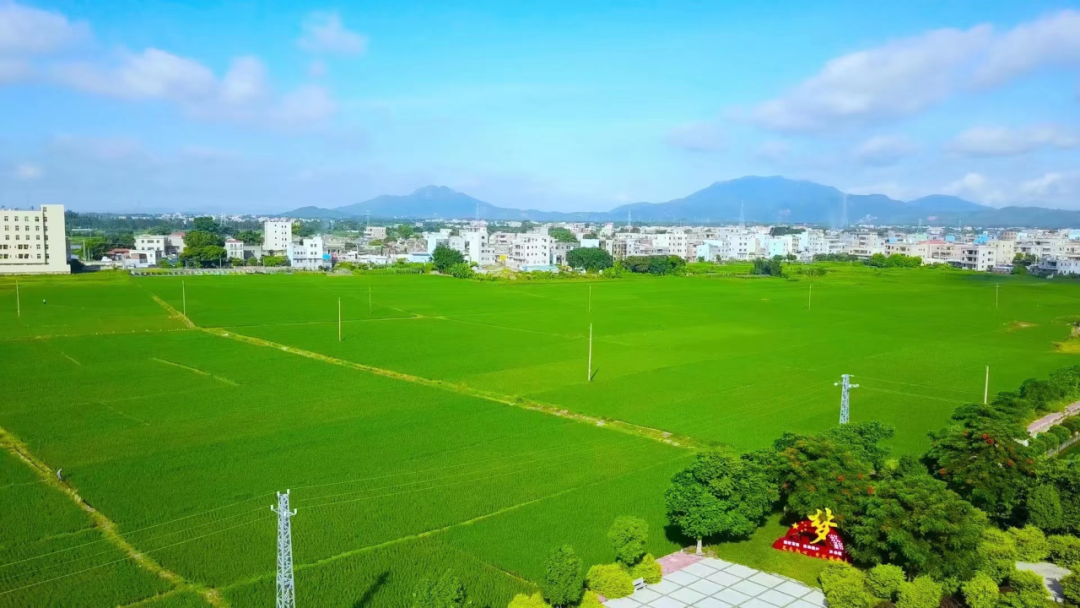 信息进村入户运营_粤东农产品出村进城_粤合农业合作社农产品展示中心