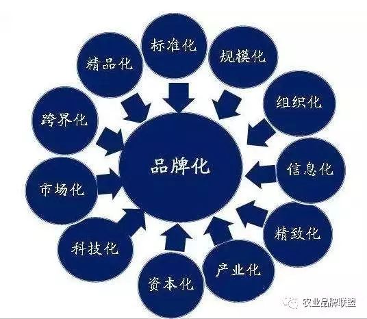 农产品品牌化意义_农产品品牌化问题_怎样让农产品名声变大