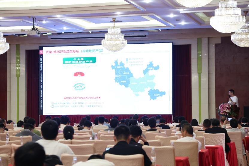 云南省农产品研究院_云南高原特色农产品_彩云电商消费券活动