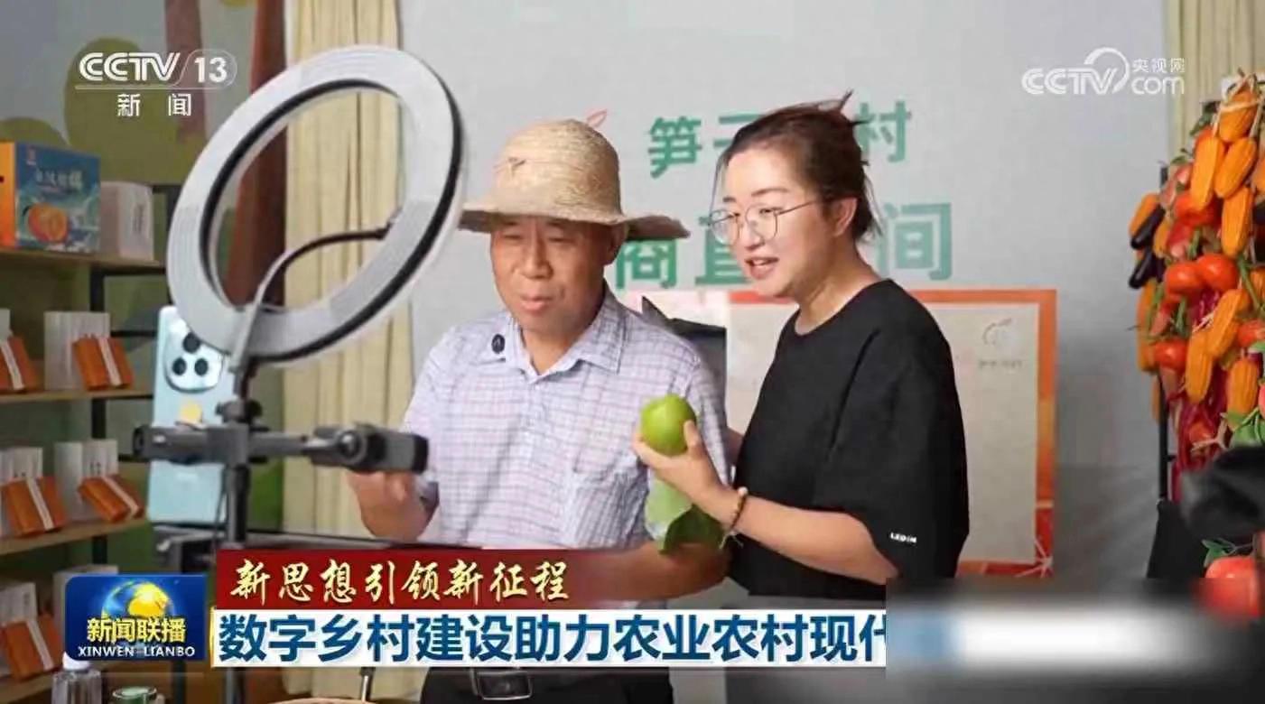 网上销售农产品_直播带货_数字乡村