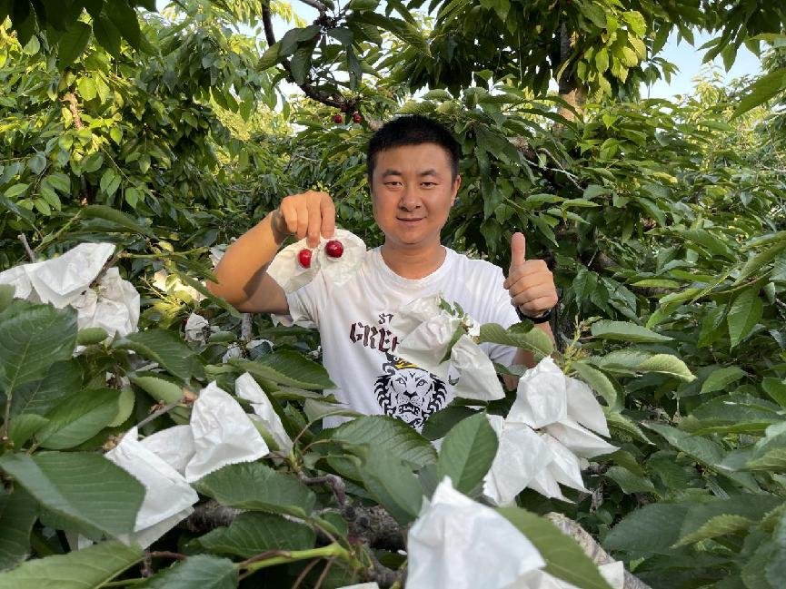 陕西周陵村电商销售_冉博超农产品电商创业_网上销售农产品