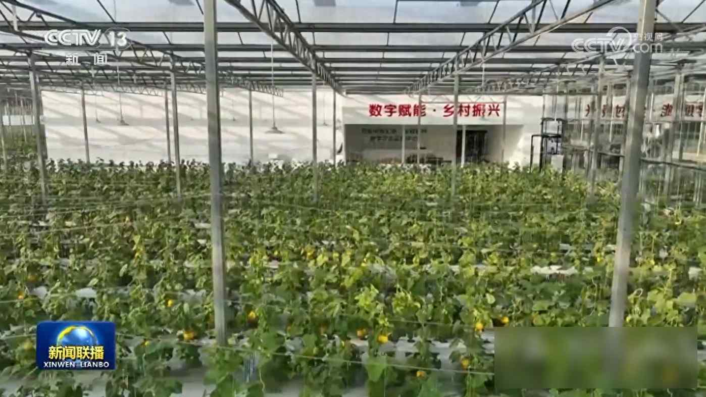 网上销售农产品_数字乡村建设_农产品电商直播