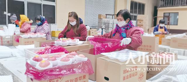 博士达集团有机苹果销售增长_栖霞市农产品电商销售_农产品网上卖