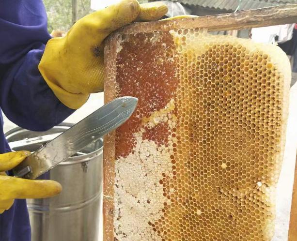 贵州农产品产销对接_贵州特色农产品供需平台_贵州知名农产品