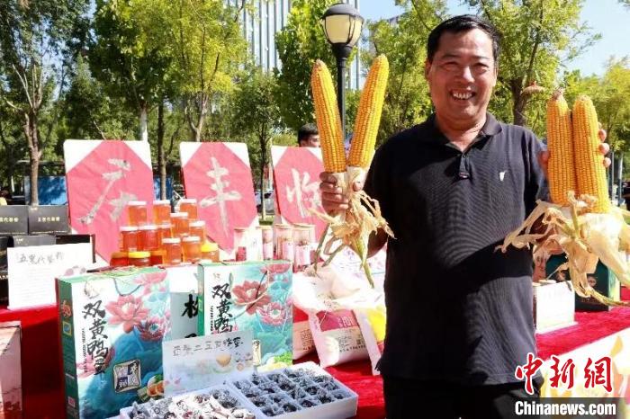 田间地头农产品_中国农民丰收节山东活动_山东各地丰收景象