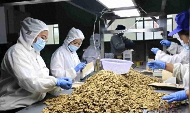 云南生态农产品_临沧特色资源升级_高原特色现代农业创新发展