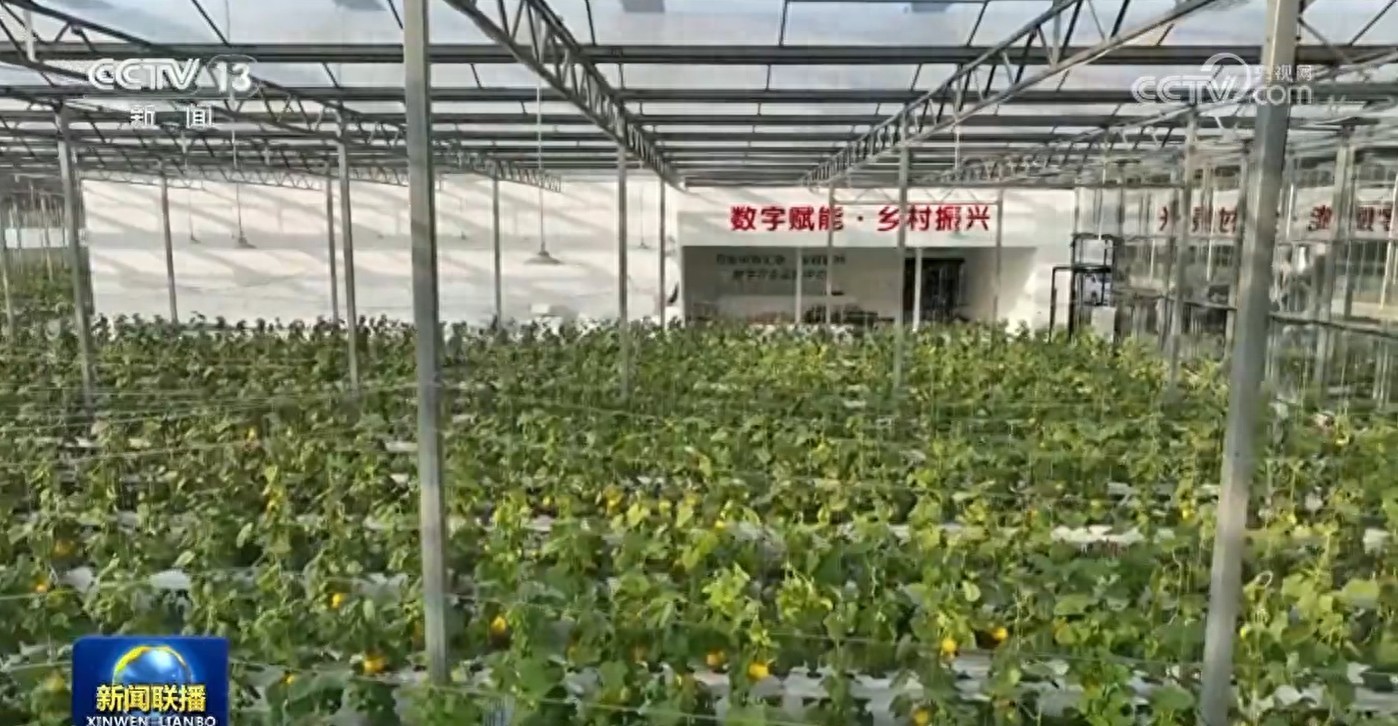 国家重视农村数字化发展，5G基站助力上网，多举措推动进步