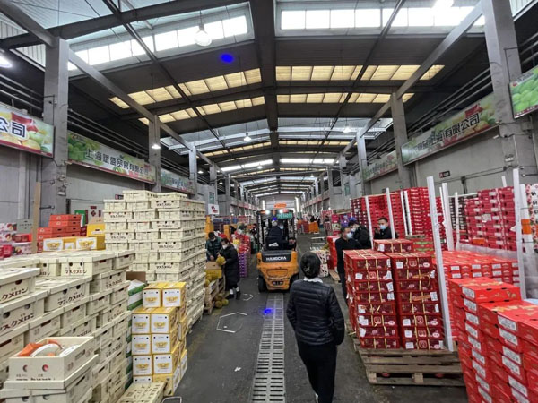 春节西郊农产品批发市场供应充足_西郊农产品交易中心_春节上海蔬菜水果价格稳定